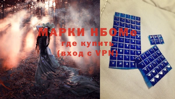 бошки Бронницы