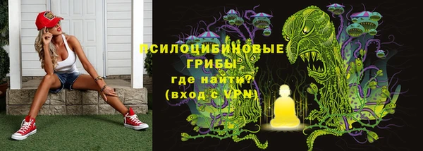 mdpv Верея