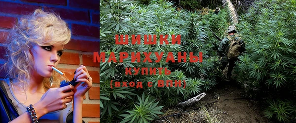 MESCALINE Бородино