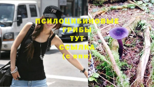 амф Бугульма