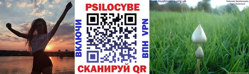 Купить  Черемхово  Псилоцибиновые грибы мухоморы 